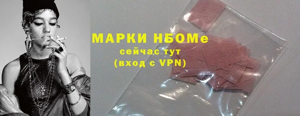 гашик Семилуки