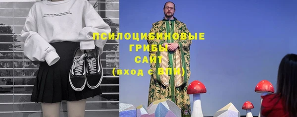 ALPHA PVP Белокуриха